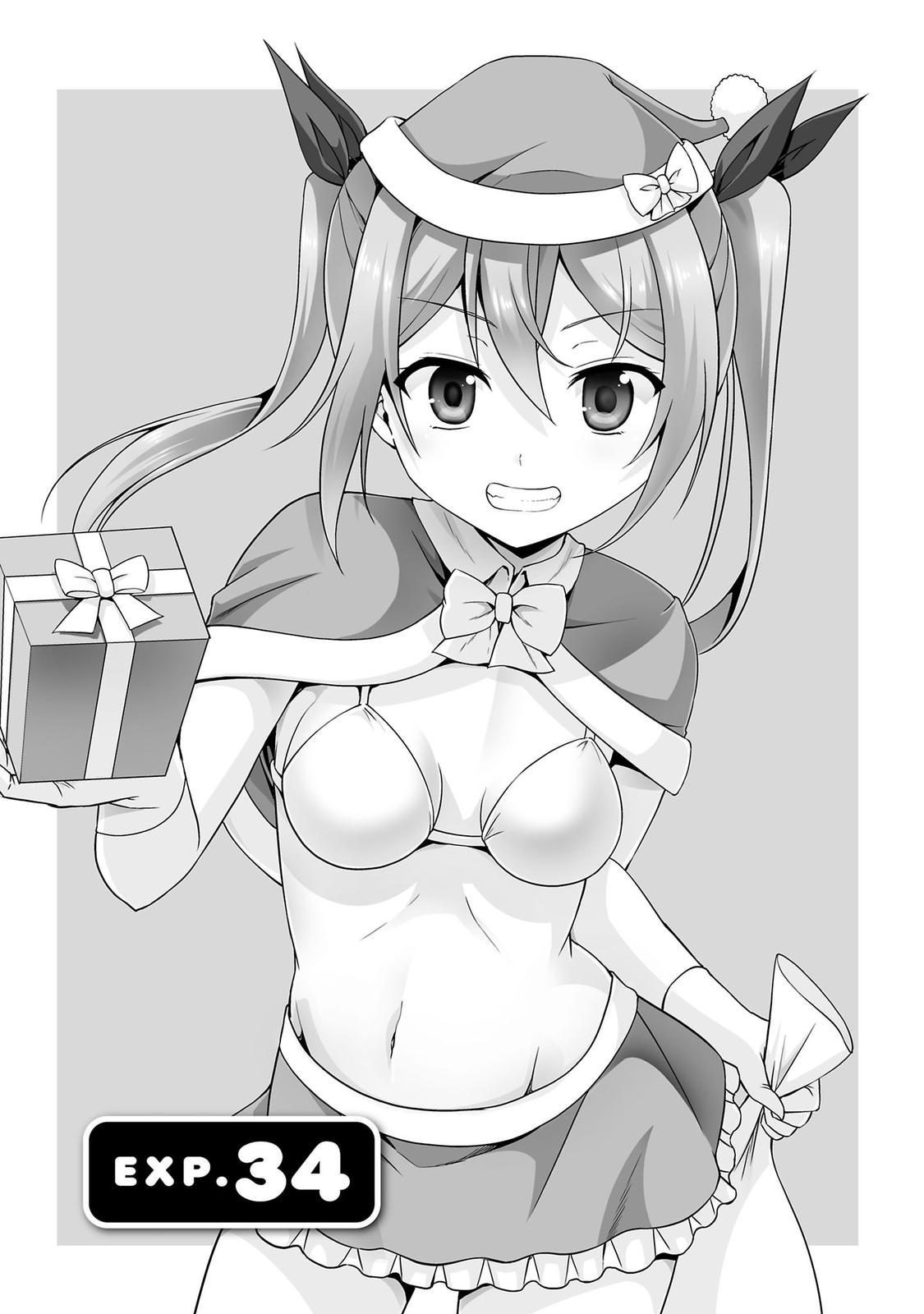 Netgame no Yome wa Onna no Ko ja nai to Omotta? - episode 34 - 0