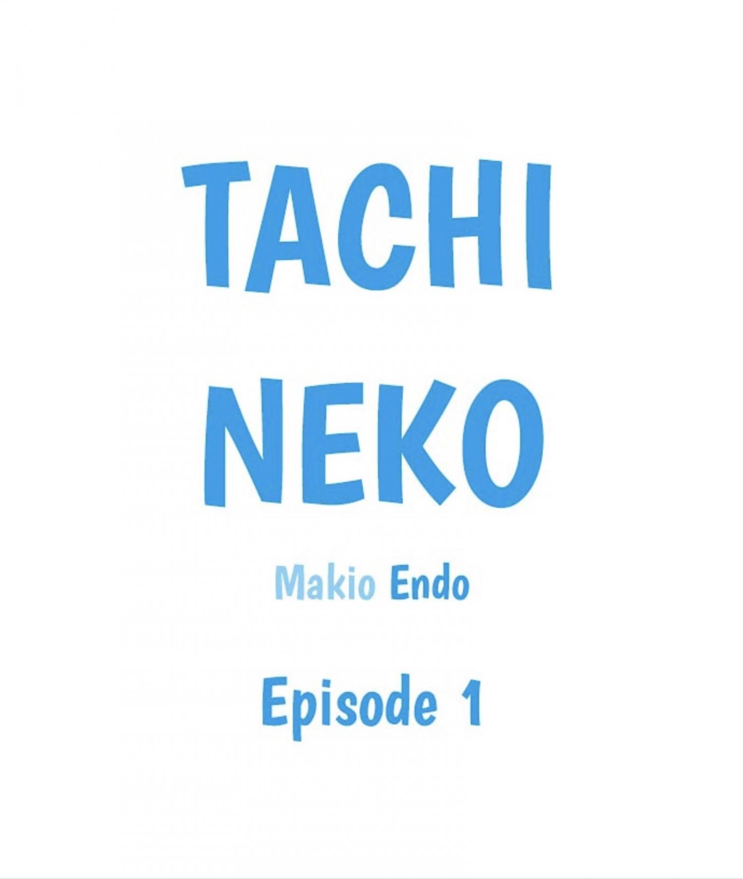 Tachi to neko docchi ga li no